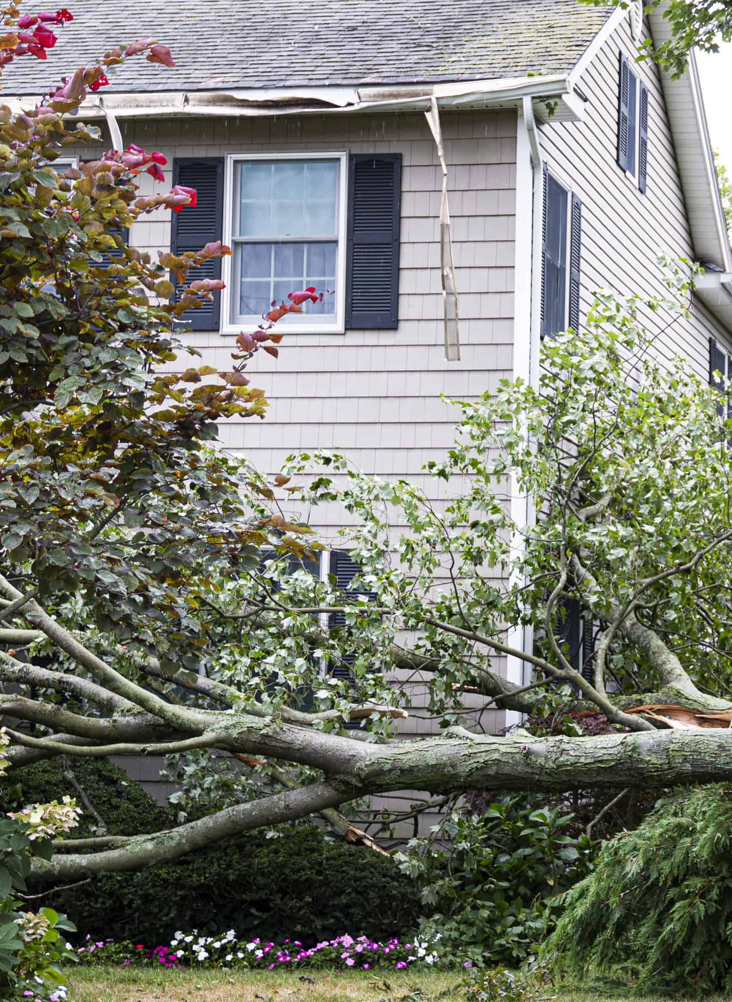 Storm damage